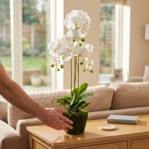 Article Orchidée Artificielle Blanche 80 cm avec Support et Base