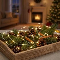 Article Luminaire LED Décoratif avec 100 Micro-Lampes, 159 cm, Blanc Chaud