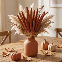 Article Herse séchée orange pour décoration intérieure et floristique – 10 pièces