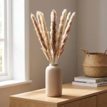 Article Pampasgras séché naturel - Lot de 6 tiges - Décoration d'intérieur