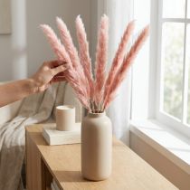 Article Pampas Gras Séché Rose Pêche 65-75 cm - Lot de 6