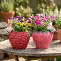 Article Pots en céramique décoratifs en forme de fraise et framboise avec figurines de nains – Lot de 2