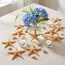 Article Mini étoiles de mer naturelles 2-4 cm - Lot de 50 pièces