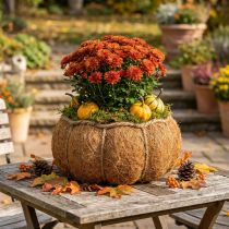 Article Panière décorative en forme de citrouille en fibres naturelles orange Ø22cm H17cm