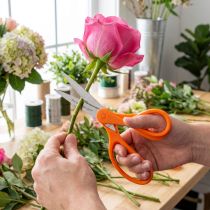 Article Floristik24 – Ciseaux de jardin orange 20 cm avec lames en acier inoxydable