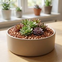 Article Galets décoratifs naturels 16-22 mm Terra 2 kg