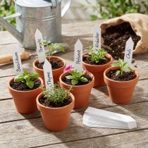Article Étiquettes de Plantes à Planter en PVC Blanc 17 x 80 mm - Lot de 250