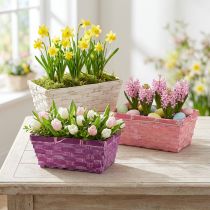Article Set de 8 Paniers Rectangulaires en Bois avec Film Plastique Intégré - Couleurs Lilas, Blanc et Rose