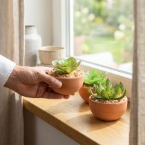 Article Set de 3 plantes artificielles en pot – Sukkulenten, H9 cm