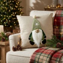 Article Coussin Décoratif avec Lutin Vert et Beige 40×40 cm