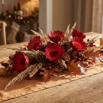 Article Fleurs séchées Compacta Rosette rouge Ø4,5-6,5cm – Lot de 40