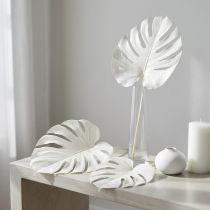 Article Feuilles de Monstera séchées et blanchies, décoration 40 cm, lot de 5