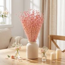 Article Flax séché décoratif rose clair 50-55 cm 80 g