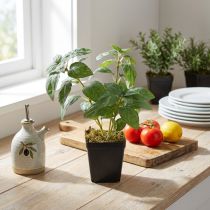 Article Plante artificielle basilic en pot H22 cm vert
