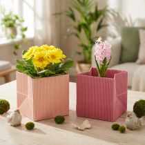 Article Mini cache-pots décoratifs en papier, rose et saumon, lot de 6, 12x12 cm