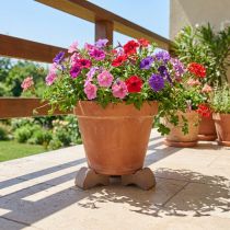 Article Pieds pour pots de fleurs en terre cuite - Lot de 3 - Hauteur 7 cm - Marron