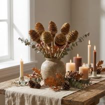 Article Tiges décoratives en bois naturel crème 50 pièces
