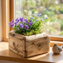 Article Petit pot carré en bois naturel avec doublure, 12×12×8,5 cm