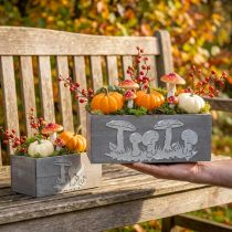 Article Set de 2 caisses en bois décoratives avec motif champignon, gris-blanc, pour plantation et déco d'automne