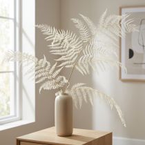 Article Fougère Séchée Décorative Blanchie 75 cm - Lot de 10