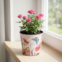 Article Cache-pot motif floral en plastique - 10,5 cm - Décoration estivale