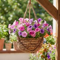Article Set de 2 paniers suspendus en jacinthe d’eau marron avec corde en jute