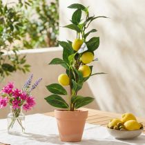 Article Petit citronnier artificiel en pot, 42 cm – Décoration méditerranéenne