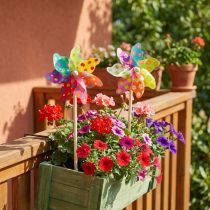 Article Moulins à vent décoratifs en bois et plastique multicolore Ø15 cm - Lot de 2