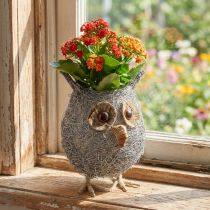 Article Pots de décoration en forme de hibou 14 cm blanc lavé
