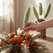 Article Luffa naturelle verte sur tige - Lot de 25
