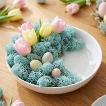 Article Mousse décorative bleue aquamarine 400g – Lichen islandais naturel