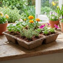 Article Mousse florale durable en fibre de coco OASIS® TerraBrick™, lot de 8