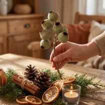 Article Branche décorative naturelle avec fruits en forme de cloche, 20 pièces