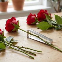 Article Retire-dornes pour roses en métal argenté 13 cm