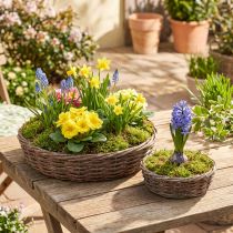 Article Paire de pots de plantation en bois Ø30/35cm gris avec doublure plastique