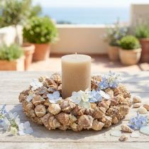Article Couronne décorative naturelle en coquillages avec support Ø 35 cm