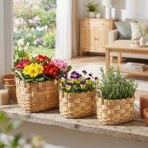 Article Lot de 3 cache-pots en bois avec anses – Naturel 22/27/33 cm