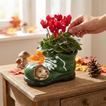 Article Cache-pot décoratif en céramique vert en forme de chaussure avec hérisson – 23x14x13 cm