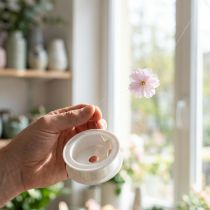 Article Fil Transparent en Nylon 0,25 mm - 50 m