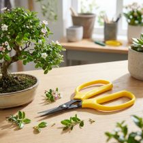 Article Ciseaux de précision pour bonsaïs 15,5 cm Oasis