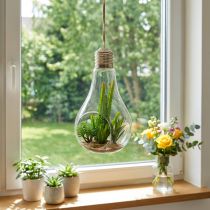 Article Décoration suspendue en verre avec faux cactus – 21 cm