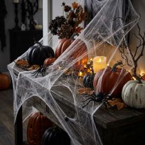 Article Toile d'Araignée Décorative Halloween 70×100 cm Blanche 150 g