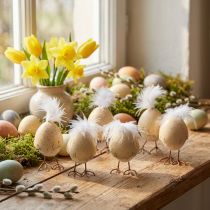 Article Figurines de poussins en coquille d'œuf, crème et blanc, 6 cm, lot de 6