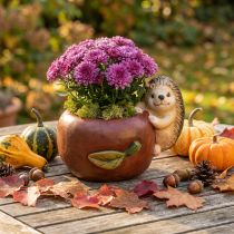 Article Cache-pot pomme en céramique avec hérisson – Décoration d'automne – Ø16cm H22cm