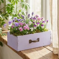 Article Boîte en bois style tiroir Shabby Chic lila 25×13×8 cm