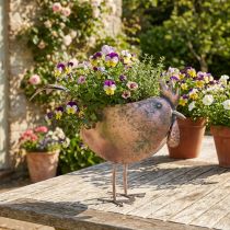 Article Pot décoratif en forme de poule en métal rosé – 51×16×37 cm