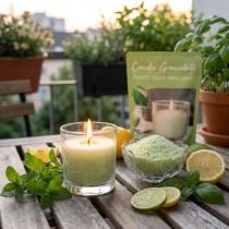 Article Kit DIY Bougie Parfumée au Citronnelle - Granulés de Cire et 4 Mèches - 400g
