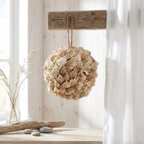 Article Boule décorative en coquillages de mer à suspendre Ø18 cm