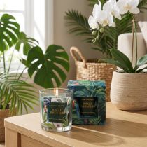 Article Bougie Parfumée en Verre Parfum Concombre et Eucalyptus Ø7cm Vert