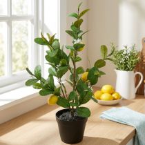 Article Citronnier artificiel en pot 65 cm plante décorative